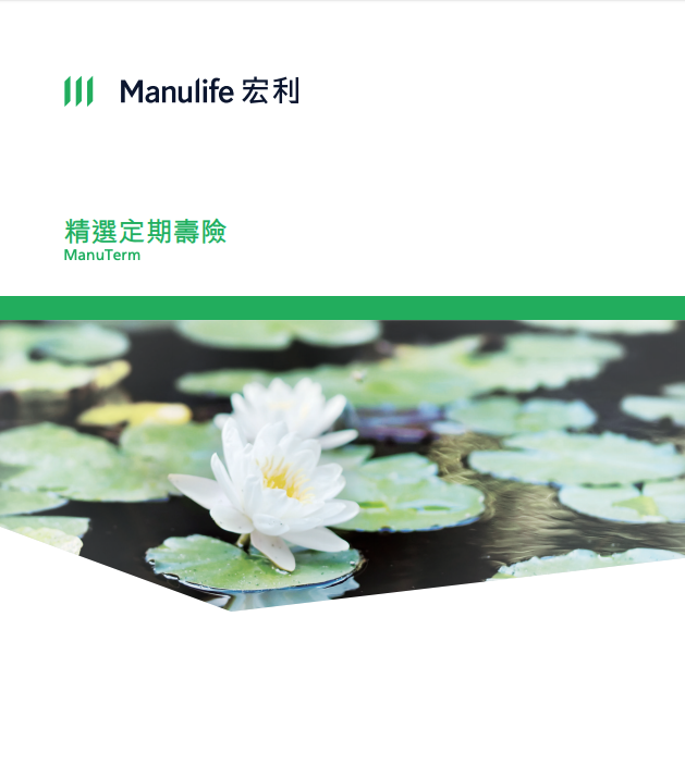 Maunlife-精選定期壽險